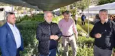 Kozan'da Harnup seferberliği