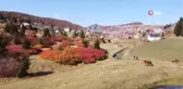 Sis Dağı'ndan mest eden sonbahar manzaraları