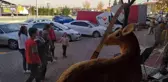 Bu dükkana gelenleri geyikler ve çitalar karşılıyor