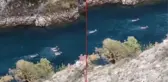 Çoruh Nehri'nde ren geyikleri görüldü iddiası