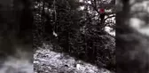 Mevsimin ilk karı Ankara'ya yağdı