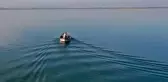 Yılan balığının Meksika'dan Türkiye'ye 7 bin kilometrelik yolculuğu (1)