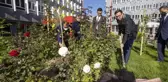 Anadolu Ajansından Milli Ağaçlandırma Gününe destek