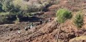 HEYBELİADA'YA 8 BİN 900 FİDAN DİKİLDİ
