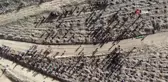 1744 rakımlı Dinek Dağı'nda fidanlar toprakla buluşturuldu