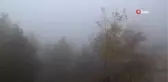 Aydın'da sonbahar bir başka güzel