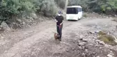 Mersin'de kaybolan 3 yaşındaki çocuğu arama çalışmaları devam ediyor