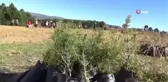 Minik TEMA gönüllüleri doğayla, fidanlar da toprakla buluştu