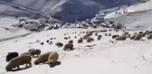 Bayburt - Trabzon sınırındaki köyler kar beyaz