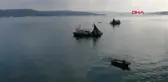 HAMSİNİN TÜRKİYE'DEN ABD'YE 10 BİN KİLOMETRELİK YOLCULUĞU
