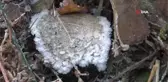 Ardahan'da soğuk hava etkili oluyor