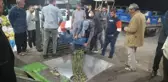 Kozan'da zeytinyağı fabrikalarında yoğunluk yaşanıyor