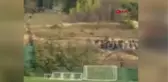 Maltepe'de taşlı bıçaklı taraftar kavgası