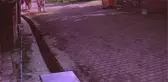 Su kanalına düşen ineği vatandaşlar kurtardı