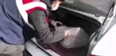 Altın varaklı, eski el yazması Tevrat ele geçirildi