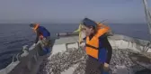 Bizim Köyün Kızları'nda büyük panik! Yarışmacı bir anda denize düştü