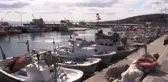 Çanakkale'nin jumbo karidesi 