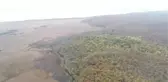 KIRKLARELİ - İğneada Longoz Ormanı'ndaki dereler ahşap köprüler ile aşılacak