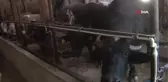 Manda sütü ürünleri kadınlara gelir kaynağı oluyor