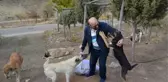 MOBİLYA USTASI, 60 KİLOMETRE GİDİP, 30 KÖPEĞİ GÖNÜLLÜ BESLİYOR