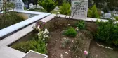 Safra kesesi ameliyatında ölen genç kadının davasında karar verildi