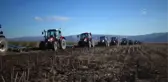 1 milyon 200 bin dekar alana buğday ve arpa ekimi yapılacak