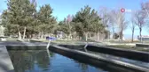 Atatürk Üniversitesi balık üretim çiftliğinde balık sağımı dönemi