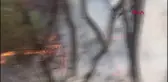 HEYBELİADA'YI YAKAN SANIĞA 12 YIL HAPİS VE 40 BİN LİRA ADLİ PARA CEZASI