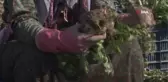 Kerevizin Eskişehir'de üretimi artıyor