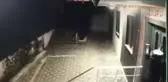Çekmeköy'deki bisiklet hırsızlığı zanlısı yakalandı