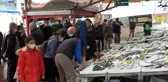 Balık çeşitliği artmasıyla tezgahlar şenlendi
