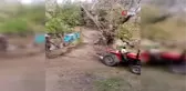 Kestikleri ağaç az daha sonları oluyordu...o anlar kamerada