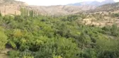 CUDİ DAĞI'NIN ETEKLERİNDE BAHÇELER YENİDEN YEŞERDİ