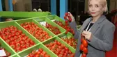 DOMATESE KADIN İSMİ DAHA ÇOK YAKIŞIYOR
