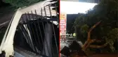 Antalya'da hortum ağaçları kökünden söktü