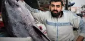 Kimileri korkuyor, kimileri yanına yaklaşıp seviyor! Dev orkinosu fotoğraflamak için sıraya girdiler