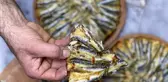Köftesi, sucuğu, döneri, tatlısından sonra pizzası da yapıldı