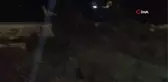 Antalya'da hortum site bahçesini ve parktaki ağaçları kırıp kökünden söktü