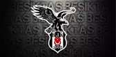 Beşiktaş'ta teknik direktör Sergen Yalçın görevine devam ediyor