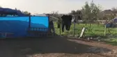 Silahlı saldırıya uğrayan 3 kişi hayatını kaybetti
