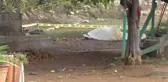 Antalya'da sır cinayet: Yaşlı adam, evinin bahçesinde öldürülmüş halde bulundu