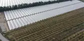 Su taşkınlarına neden olan sağanağın ardından yaralar sarılmaya başlandı