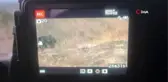 Yaban hayatı onun objektifinden kaçamıyor