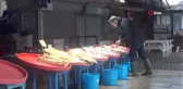 Lodos balık tezgahlarını da vurdu