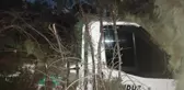 Şiddetli fırtına çam ağacını devirdi