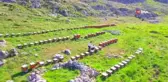 Torosların balı Avrupa yolunda