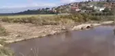 Büyük Menderes Nehri'nde toplu balık ölümleri görüldü