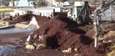 Caddebostan Sahili kızıla büründü