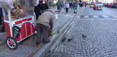 Rize'nin 'Güvercin babası' 13 yıldır kuşları elleriyle besliyor