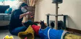 Ekvador'da ilk kedi okulu